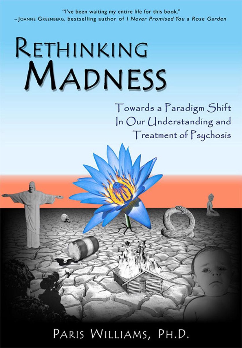 Book - Rethinking madness - Paris Williams