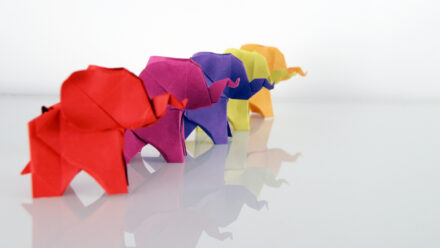 Blog - More appetite and weight gain as effect of medication