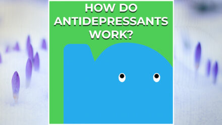 Page - How do antidepressants work