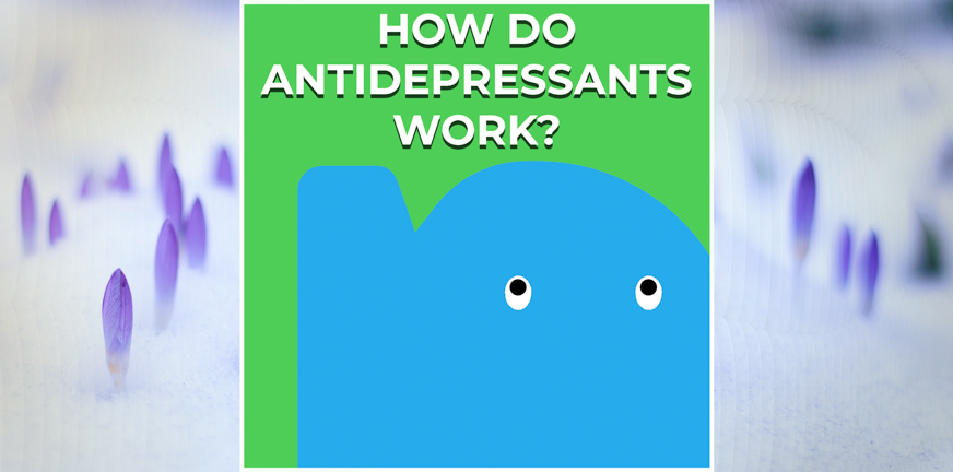 Page - How do antidepressants work