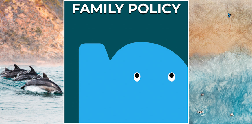 Page - Family policy