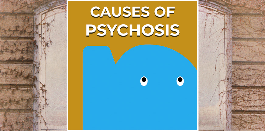 Page - Causes of psychosis