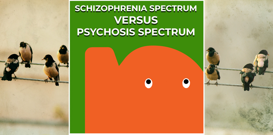 Page - Schizophrenia spectrum versus psychosis spectrum
