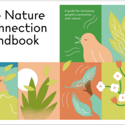 The Nature Connection Handbook
