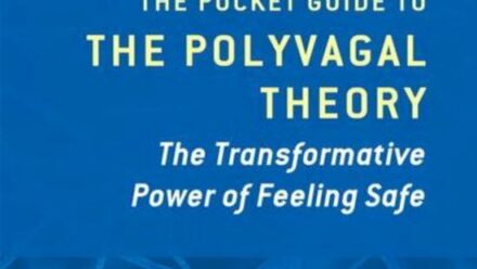 The pocket guide to polyvagal theory - Stephen Porges