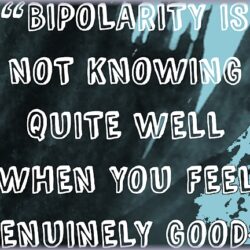 quote bipolarity