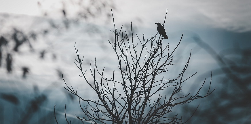 psychosis vs spirituality